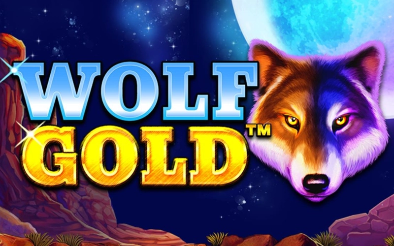 Howl for big wins in 1win Wolf Gold with stacked wilds and money respin features.